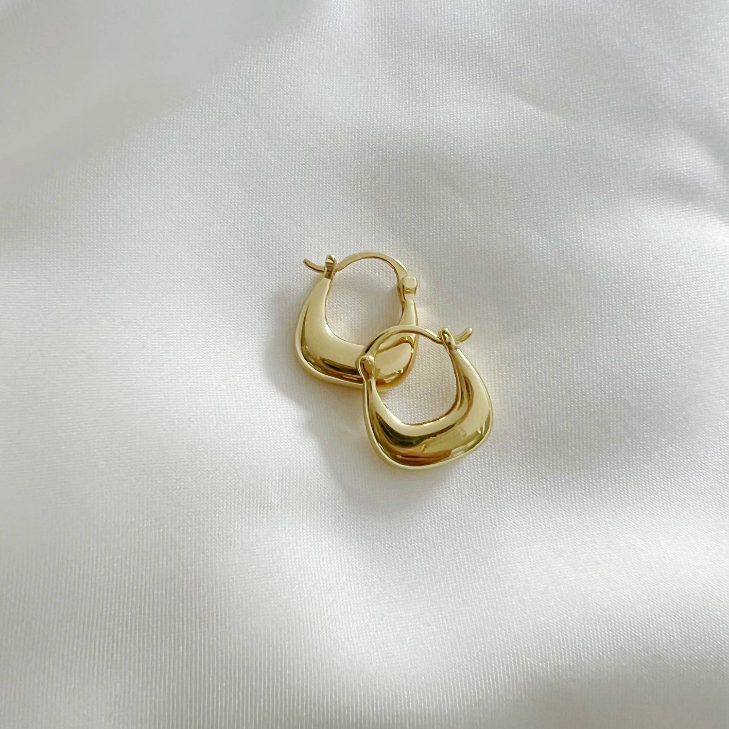 Shania Hoops